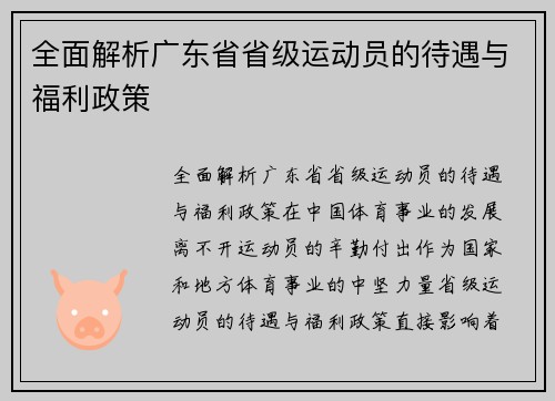 全面解析广东省省级运动员的待遇与福利政策